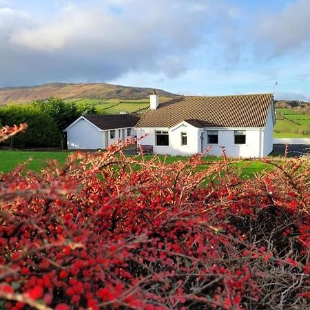 Cathleen's Cottage Newry Buitenkant foto