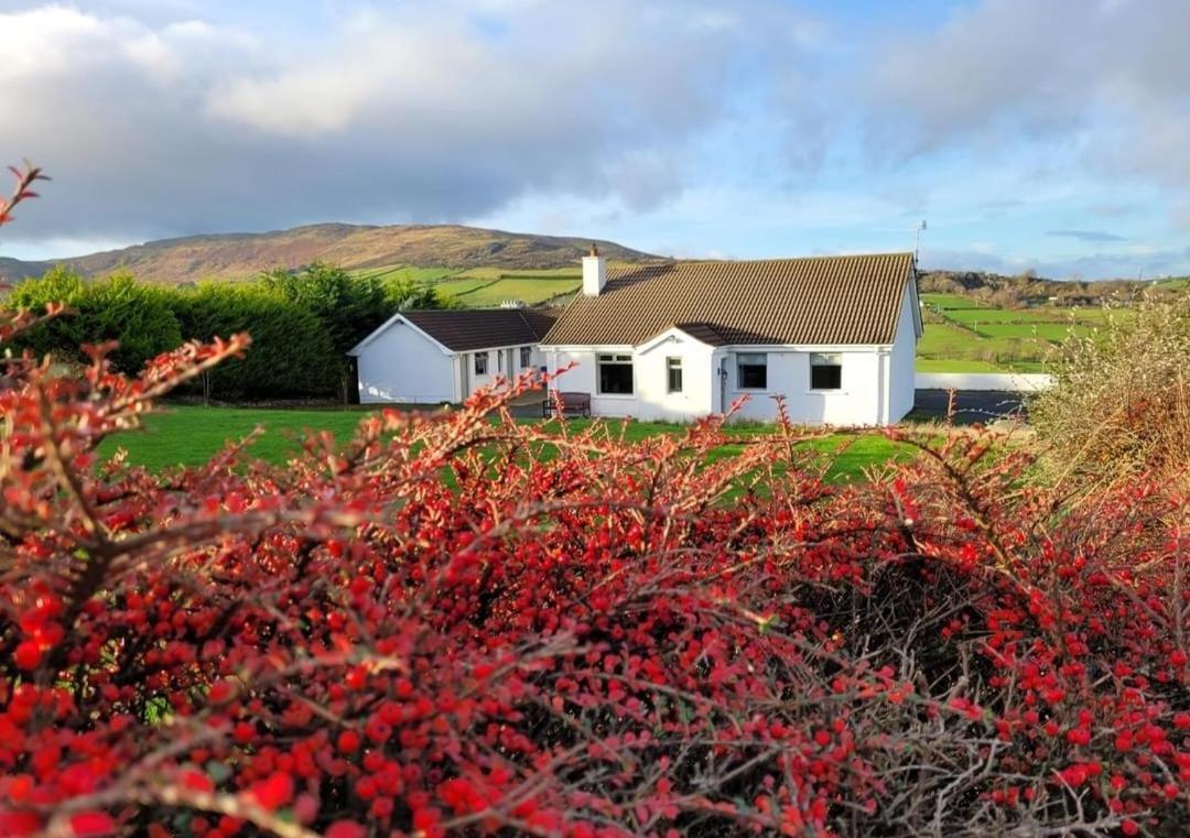 Cathleen's Cottage Newry Buitenkant foto