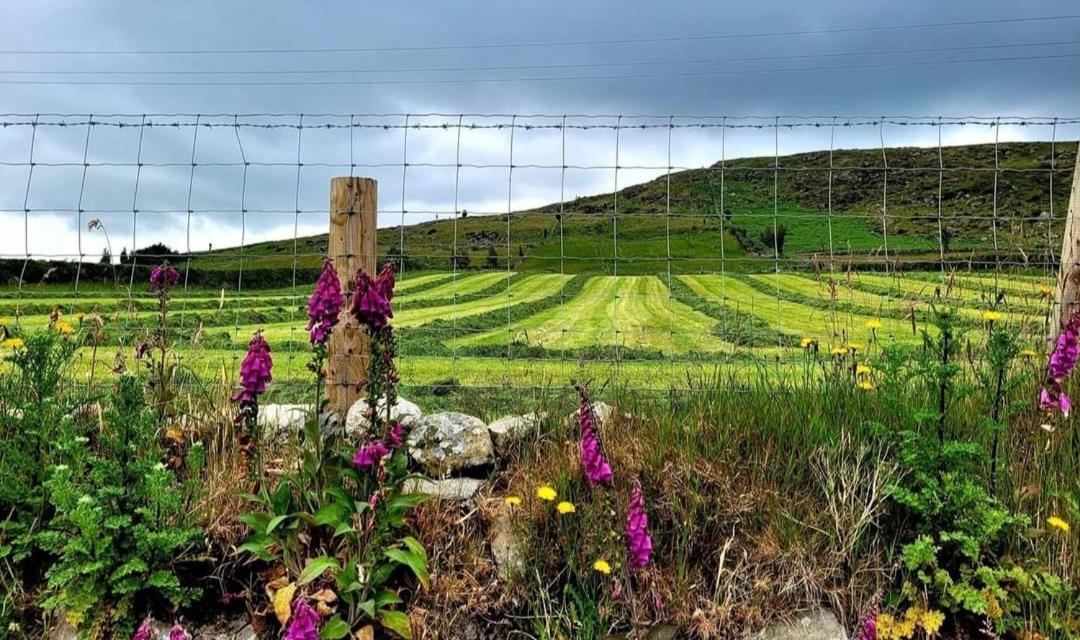 Cathleen's Cottage Newry Buitenkant foto
