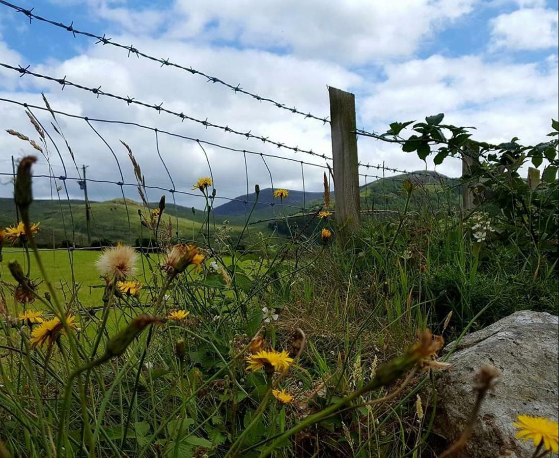 Cathleen's Cottage Newry Buitenkant foto