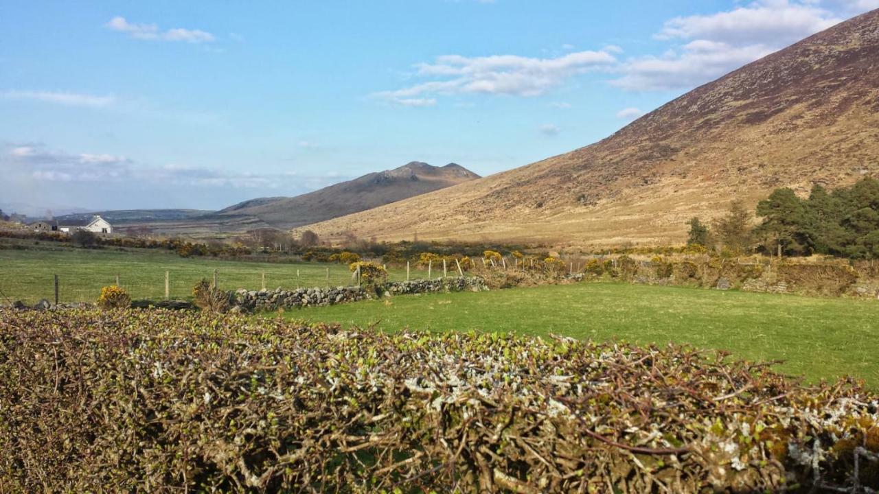 Cathleen's Cottage Newry Buitenkant foto